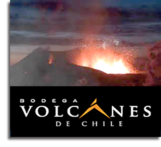 Bodega Volcanes de Chile