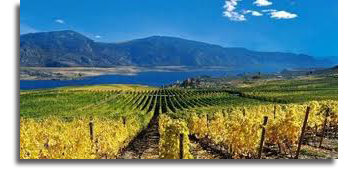 Osoyoos-Larose Winery