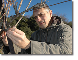 Stéphane Vedeau