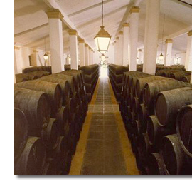 Sherry barrels in a bodega